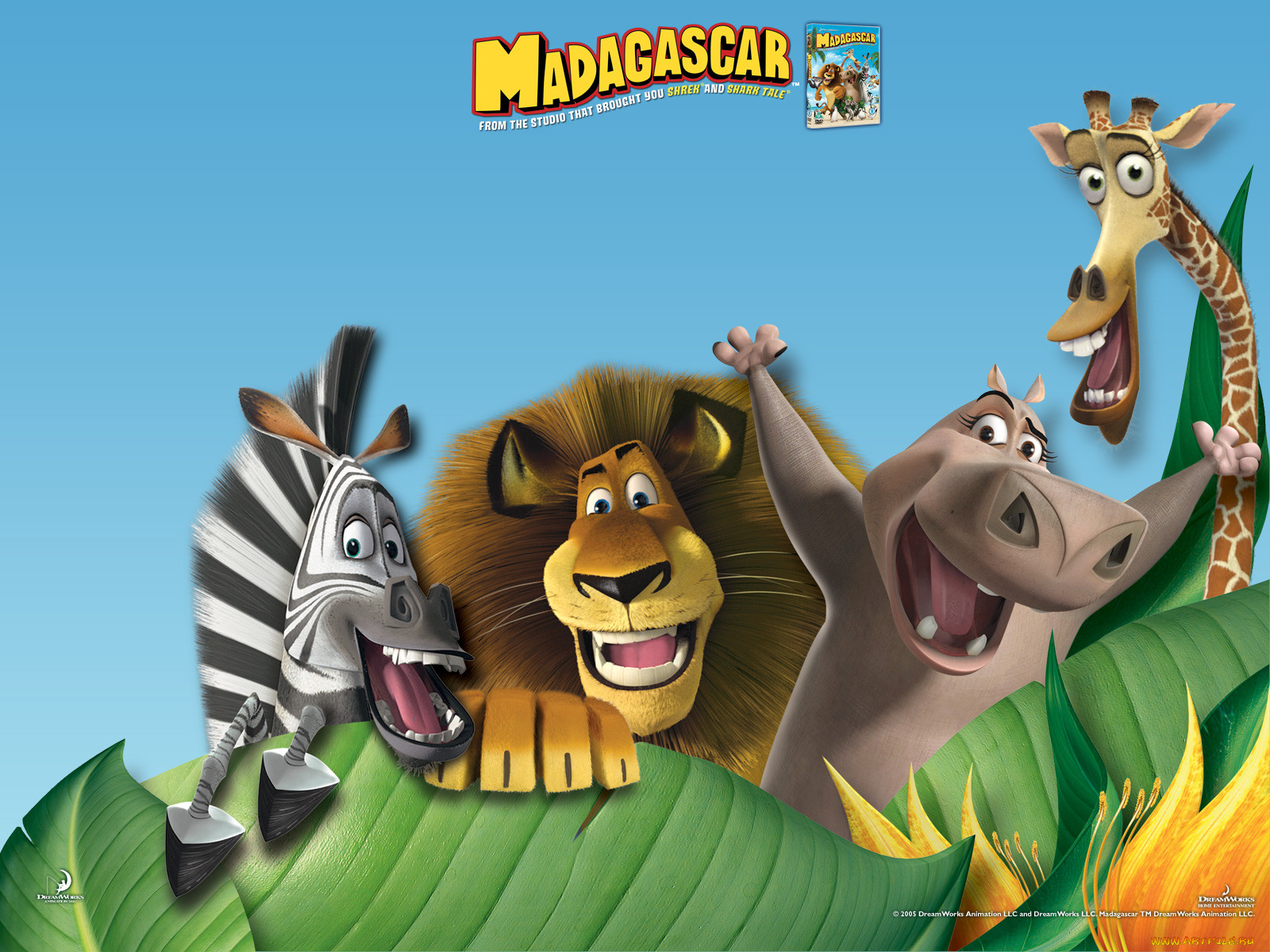 , madagascar